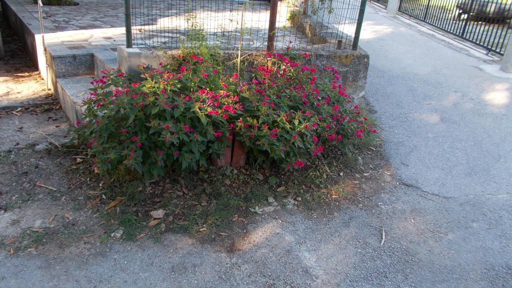 Guest House Accommodation Rupine 프레멘투라 외부 사진