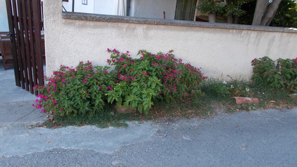 Guest House Accommodation Rupine 프레멘투라 외부 사진