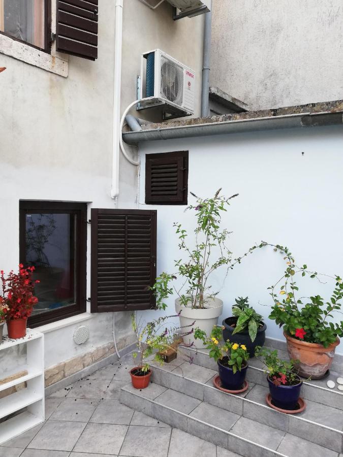 Guest House Accommodation Rupine 프레멘투라 외부 사진