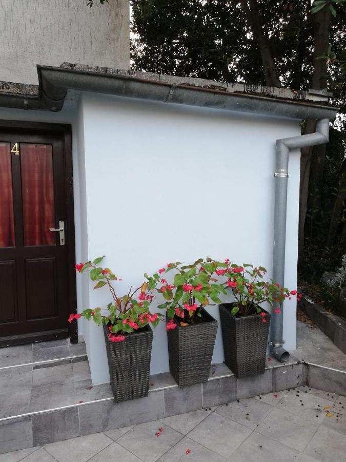 Guest House Accommodation Rupine 프레멘투라 외부 사진